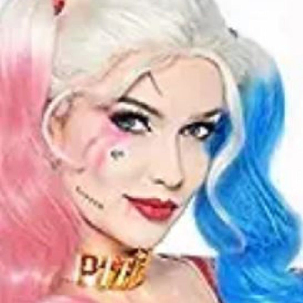 Harley Quinn 2 color costume  wig